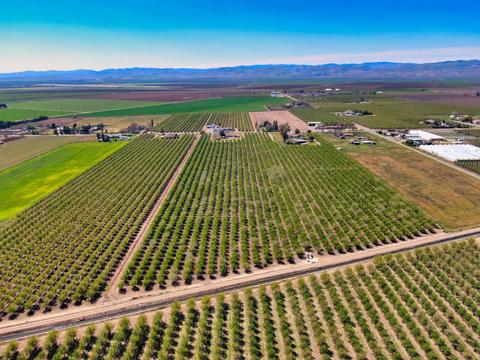 18736 Sycamore Ave, Patterson, CA 95363 photo 38