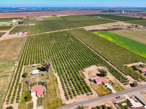 18736 Sycamore Ave, Patterson, CA 95363 photo 50