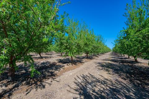 18736 Sycamore Ave, Patterson, CA 95363 photo 34