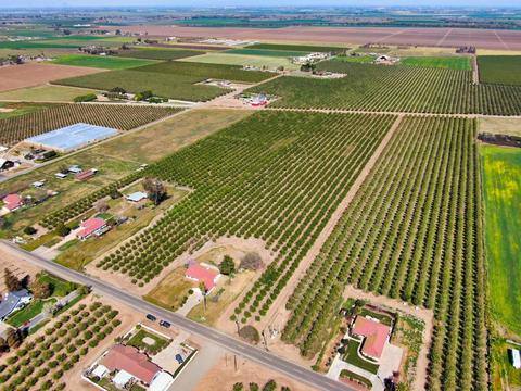 18736 Sycamore Ave, Patterson, CA 95363 photo 51