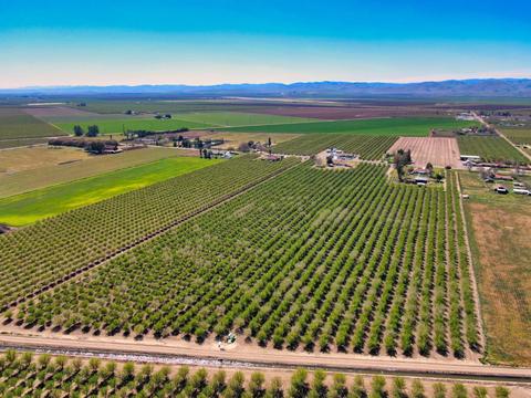 18736 Sycamore Ave, Patterson, CA 95363 photo 40