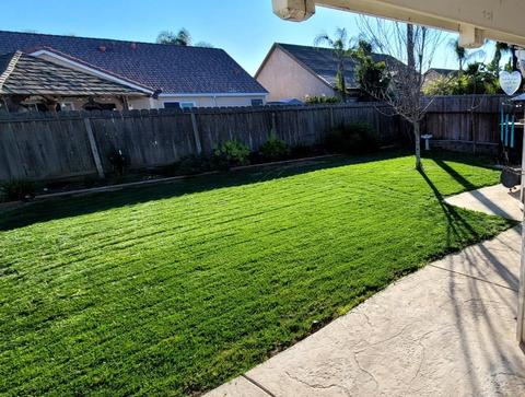 1128 7th St, Ripon, CA 95366 photo 13
