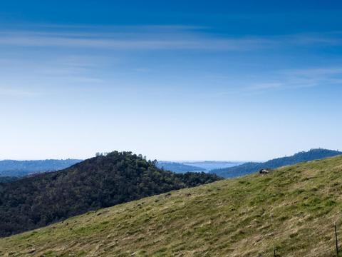 7160 Gallagher Rd, Pilot Hill, CA 95664 photo 46