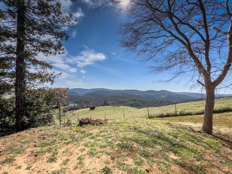 7160 Gallagher Rd, Pilot Hill, CA 95664 photo 50