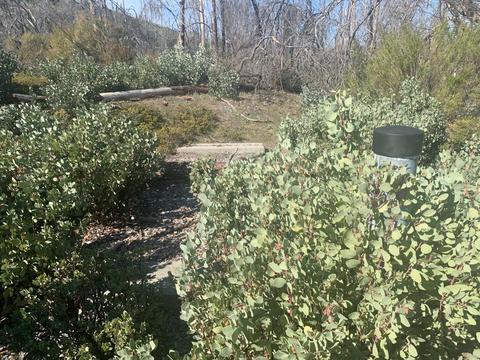 9677 Mountain Ranch Rd, Mountain Ranch, CA 95246 photo 40