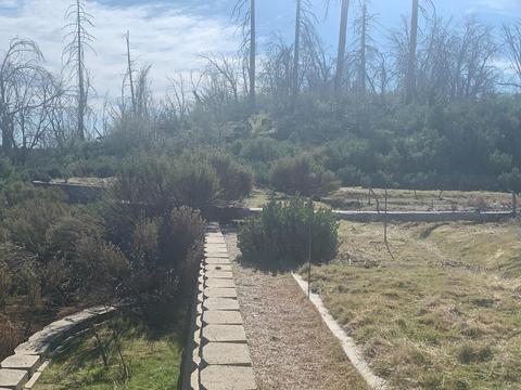 9677 Mountain Ranch Rd, Mountain Ranch, CA 95246 photo 10