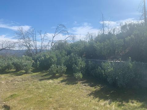 9677 Mountain Ranch Rd, Mountain Ranch, CA 95246 photo 17