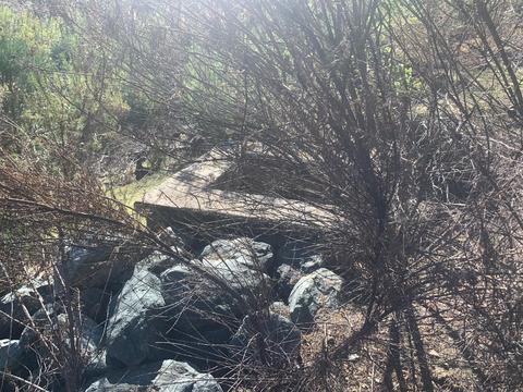 9677 Mountain Ranch Rd, Mountain Ranch, CA 95246 photo 35