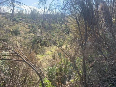 9677 Mountain Ranch Rd, Mountain Ranch, CA 95246 photo 36