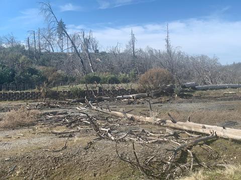 9677 Mountain Ranch Rd, Mountain Ranch, CA 95246 photo 6