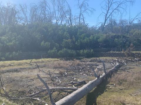9677 Mountain Ranch Rd, Mountain Ranch, CA 95246 photo 7