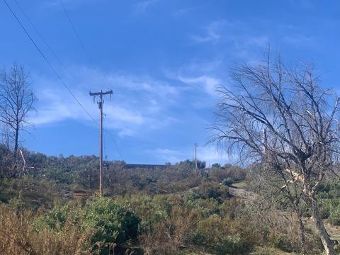 9677 Mountain Ranch Rd, Mountain Ranch, CA 95246 photo 42