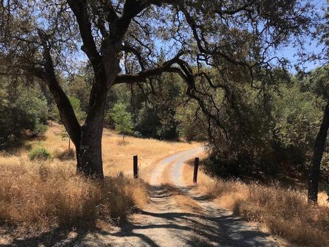 3540 Bird Haven Loop, Cool, CA 95614 photo 16