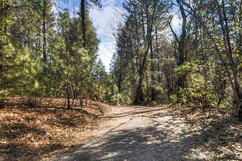 7129 Goferbroke Rd, Georgetown, CA 95634 photo 60