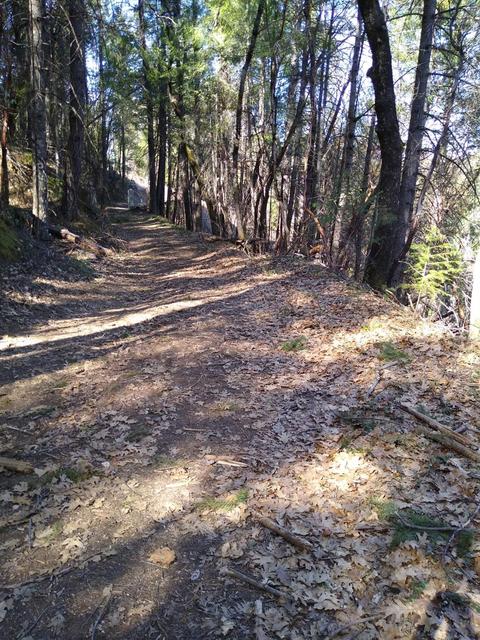 7129 Goferbroke Rd, Georgetown, CA 95634 photo 55