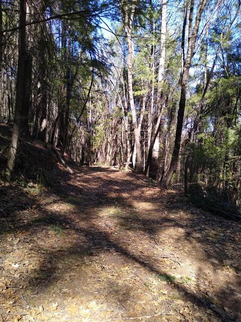 7129 Goferbroke Rd, Georgetown, CA 95634 photo 53