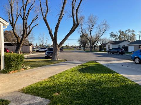 1537 Circle Ln, Newman, CA 95360 photo 31