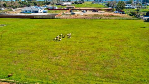434 Antelope St, Elverta, CA 95626 photo 42