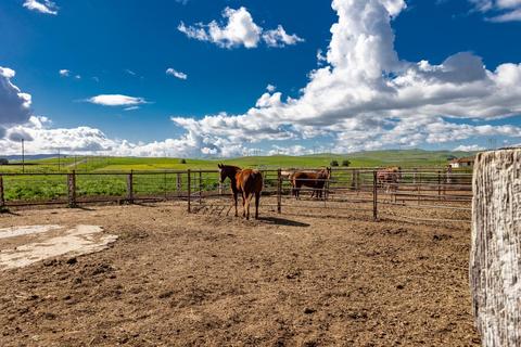 15991 Kelso Rd, Byron, CA 94514 photo 11