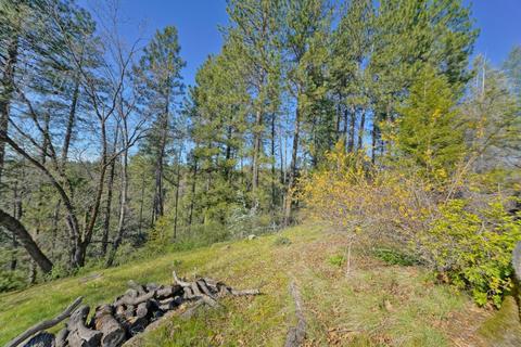 1650 Ronald Loop, Placerville, CA 95667 photo 43
