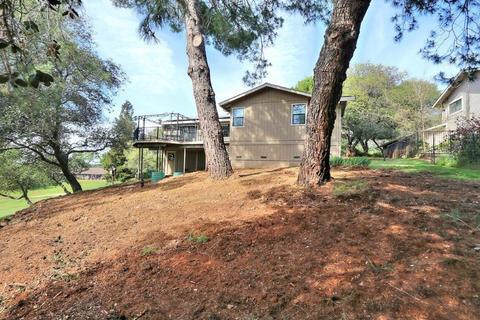 1648 Digger Tree Ct, Cool, CA 95614 photo 23