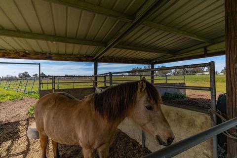 25185 N Watkinson Rd, Acampo, CA 95220 photo 70