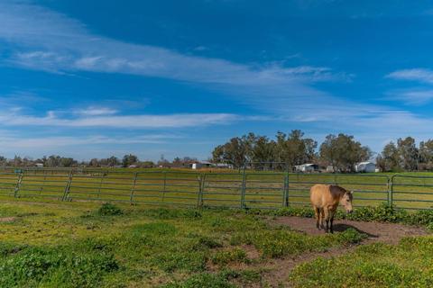 25185 N Watkinson Rd, Acampo, CA 95220 photo 71