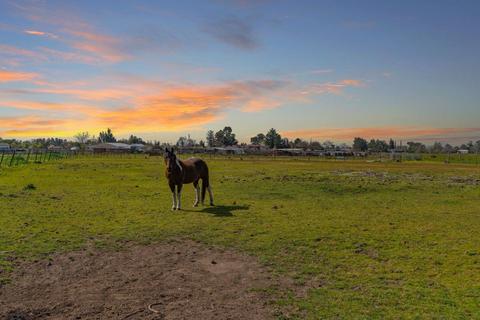 25185 N Watkinson Rd, Acampo, CA 95220 photo 15
