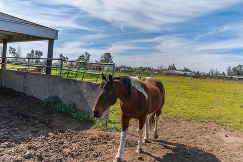 25185 N Watkinson Rd, Acampo, CA 95220 photo 68