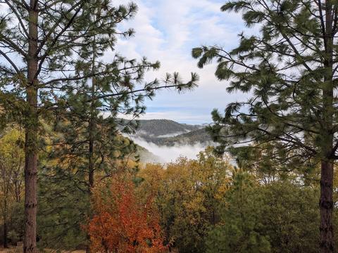6981 Kona Dr, Placerville, CA 95667 photo 38