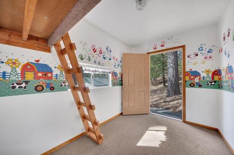 20975 Payton Ln, Pine Grove, CA 95665 photo 64