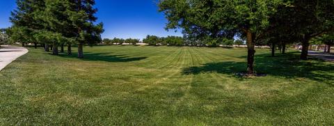 1603 Maple Valley St, Manteca, CA 95336 photo 3