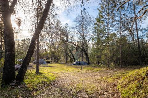 4875 Cedar Ravine Rd, Placerville, CA 95667 photo 30