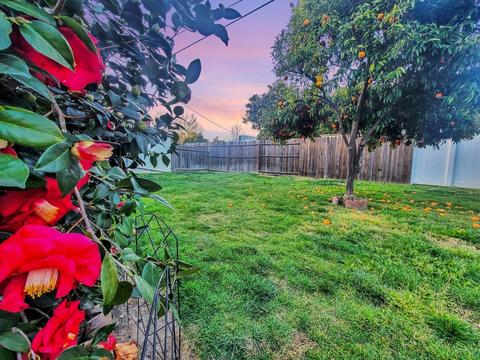 707 Eureka Ave, Lodi, CA 95240 photo 6