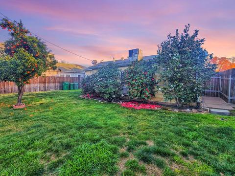 707 Eureka Ave, Lodi, CA 95240 photo 5