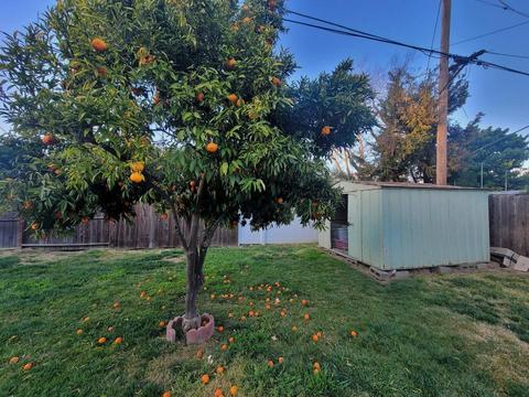 707 Eureka Ave, Lodi, CA 95240 photo 31