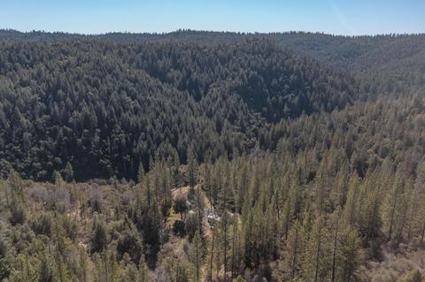 19723 Sutter Creek Rd, Sutter Creek, CA 95685 photo 80