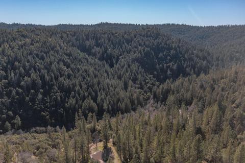 19723 Sutter Creek Rd, Sutter Creek, CA 95685 photo 79