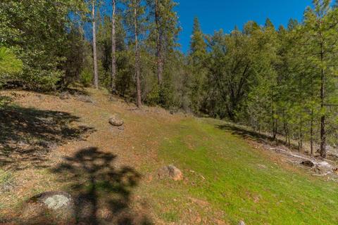 19723 Sutter Creek Rd, Sutter Creek, CA 95685 photo 66