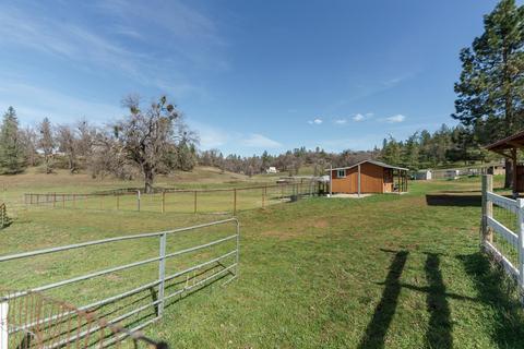 4171 Starkes Grade Rd, Placerville, CA 95667 photo 53