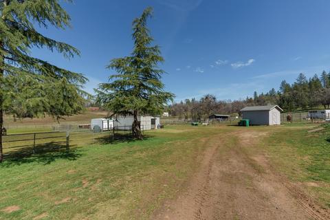 4171 Starkes Grade Rd, Placerville, CA 95667 photo 46