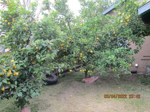 716 S Conejo Ave, Modesto, CA 95354 photo 17