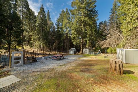 2798 Maple Dr, Pollock Pines, CA 95726 photo 19