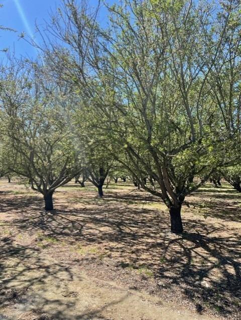 9840 E Whitmore Ave, Hughson, CA 95326 photo 78