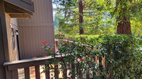 5913 Sarah Ct, Carmichael, CA 95608 photo 40