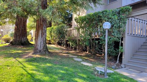 5913 Sarah Ct, Carmichael, CA 95608 photo 3