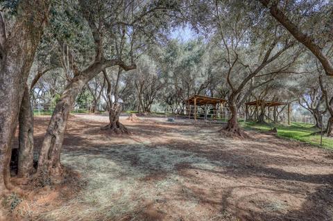 2569 Frontier Rd, Auburn, CA 95603 photo 79