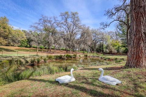 2569 Frontier Rd, Auburn, CA 95603 photo 67