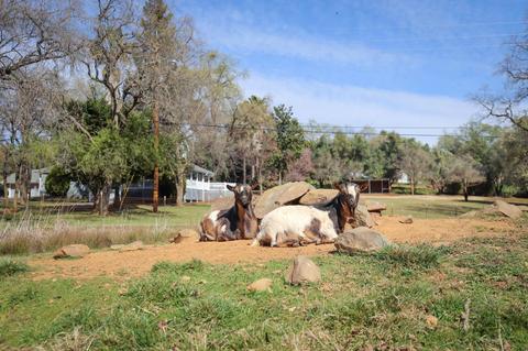 2569 Frontier Rd, Auburn, CA 95603 photo 73