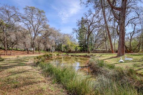 2569 Frontier Rd, Auburn, CA 95603 photo 68